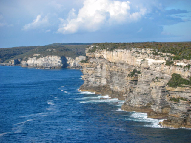 Currarong Sea Cliffs